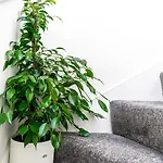 Gasthof Cohost Partners | 4br/2ba | Free Parking | Wifi
