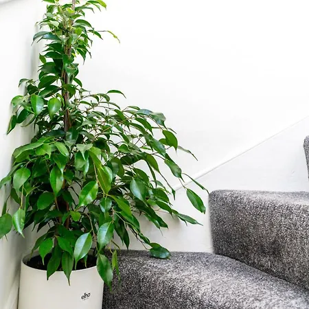 Pensionat Cohost Partners | 4br/2ba | Free Parking | Wifi