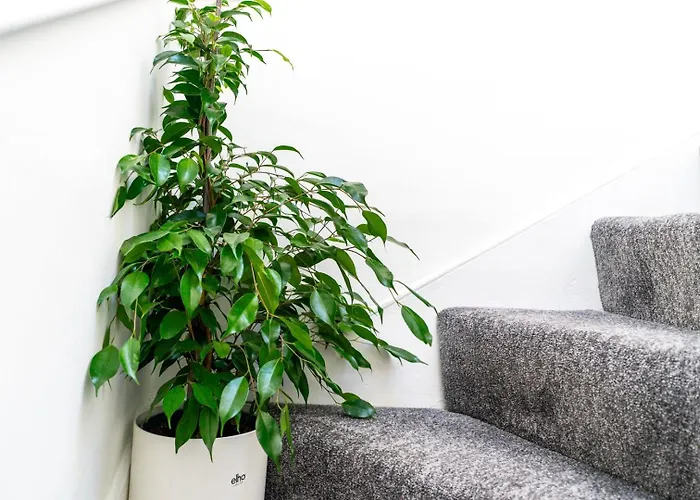 Affittacamere Cohost Partners | 4br/2ba | Free Parking | Wifi